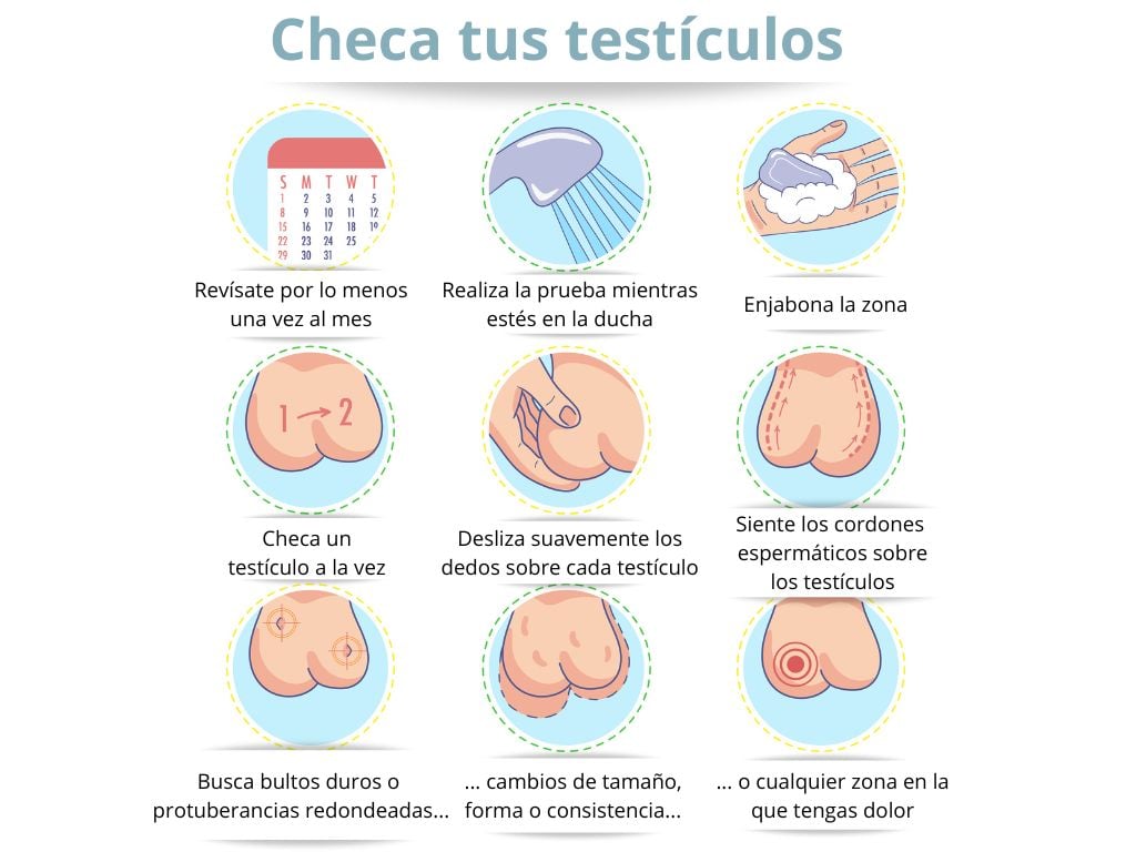 Como-saber-si-tengo-algo-en-los-testiculos