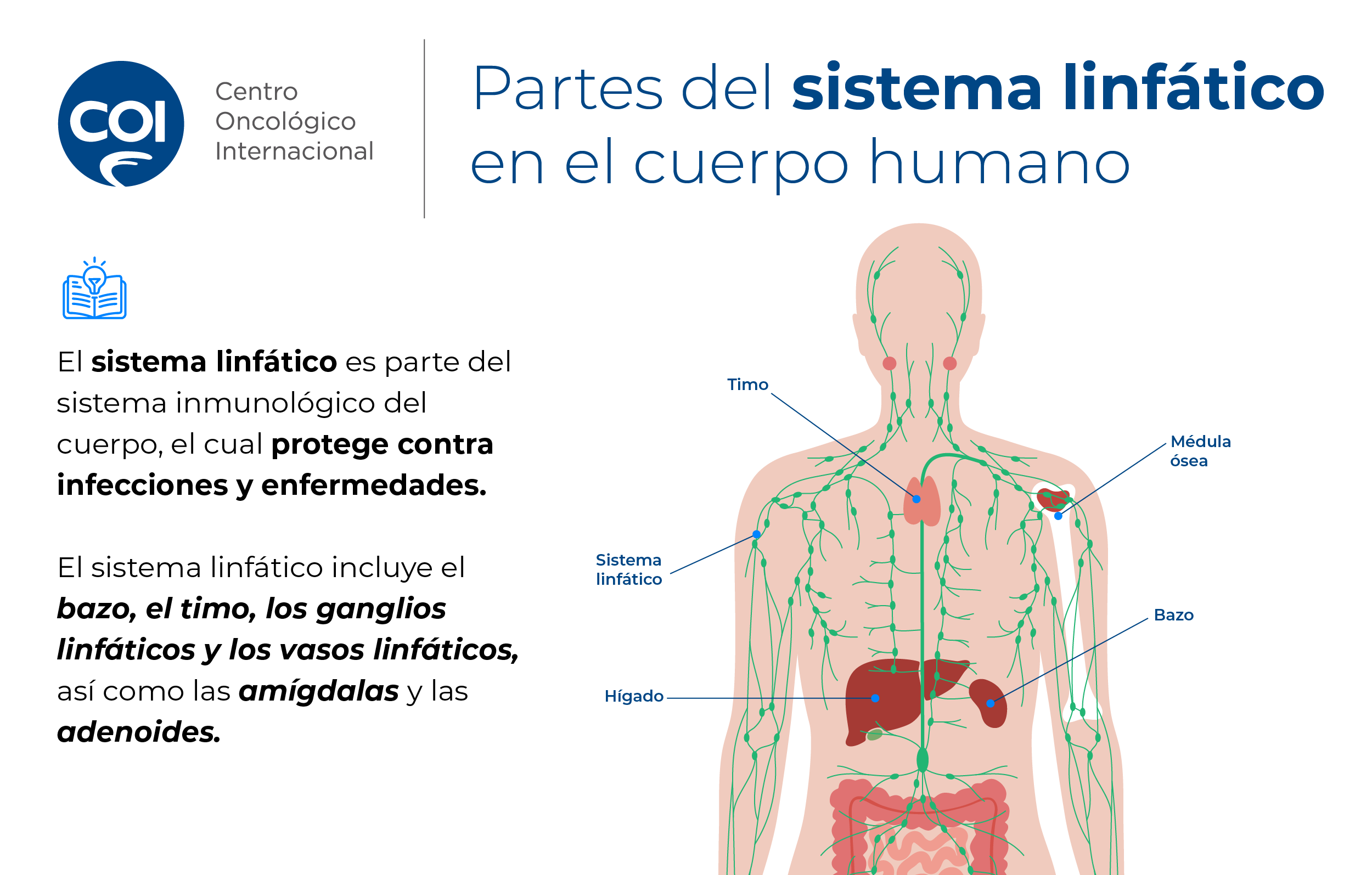 dia-mundial-leucemia